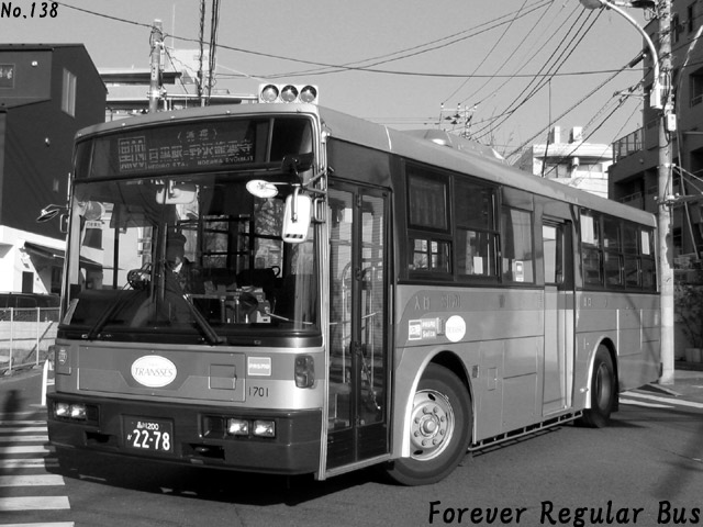 Forever Regular BusSI 1701