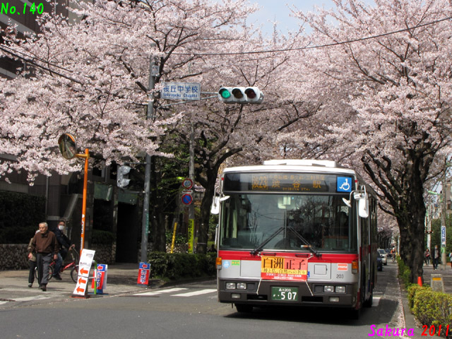 Sakura 2011T 203