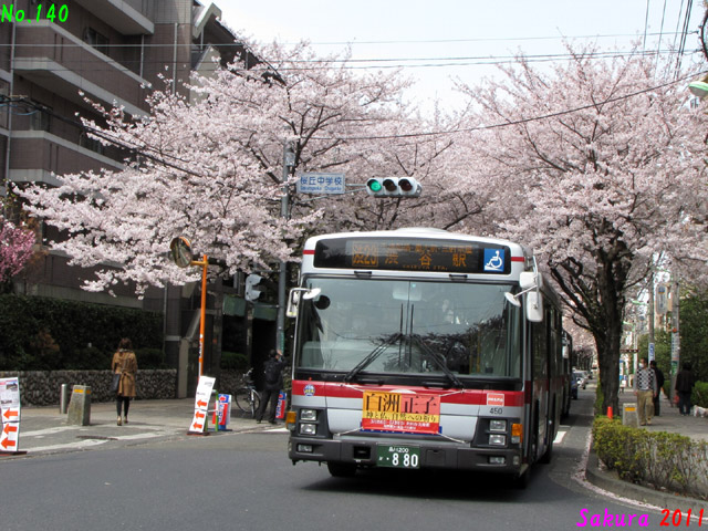 Sakura 2011T 450