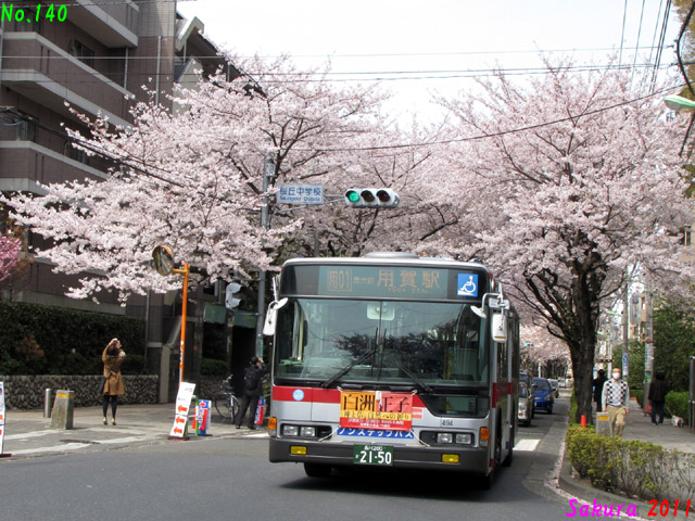 Sakura 2011S 494