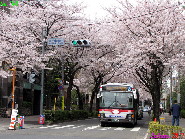 Sakura 2011T 365