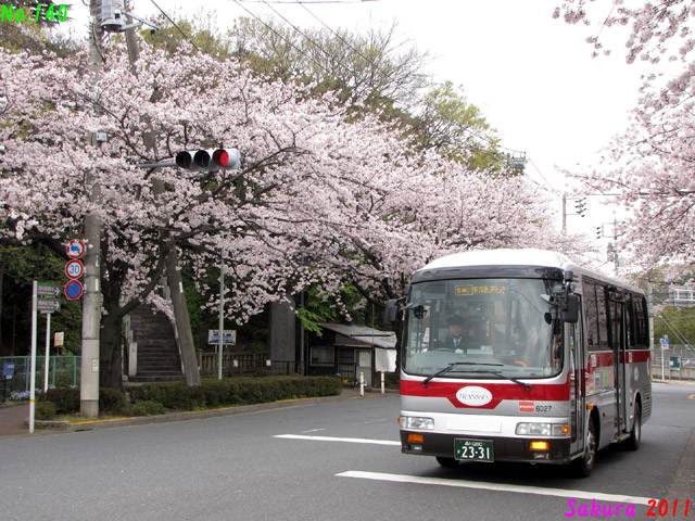 Sakura 2011S 6027